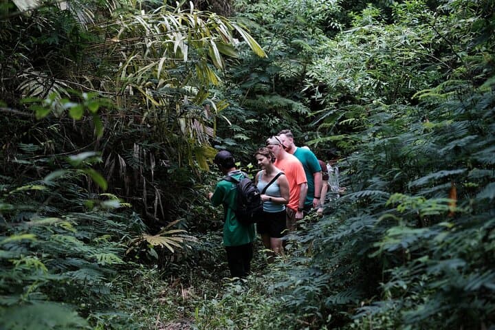 Mount Merapi Soft Trek and Botanic Village Tour — Yogyakarta Day Hike photo 6