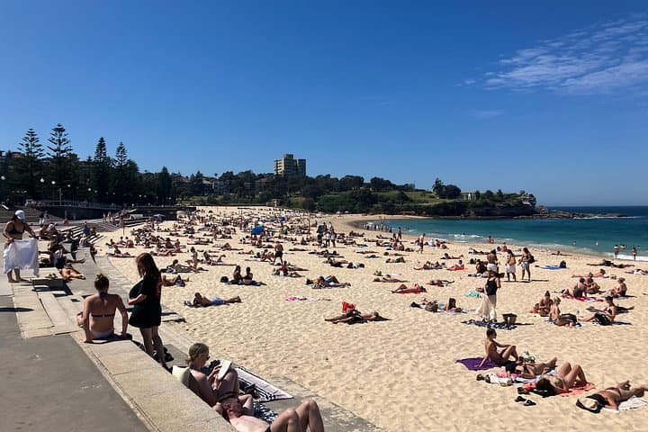 Sydney Half-Day Luxury Private Tour: Harbour Bridge, Watsons Bay & Bondi photo 6