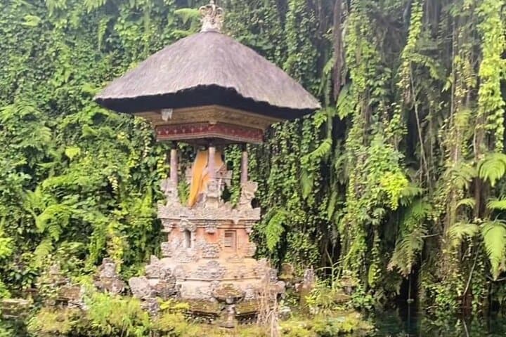 Exploring Ubud: A Cultural and Natural Journey