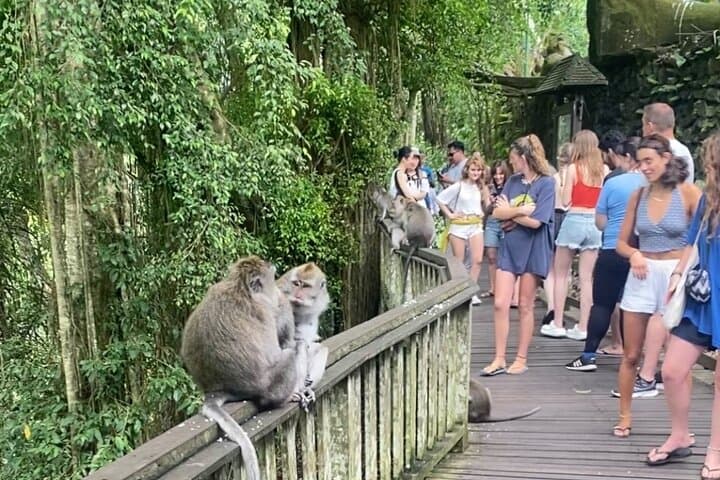 Exploring Ubud: A Cultural and Natural Journey photo 2