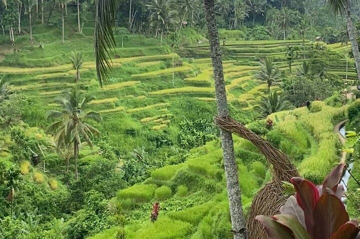 Exploring Ubud: A Cultural and Natural Journey photo 3