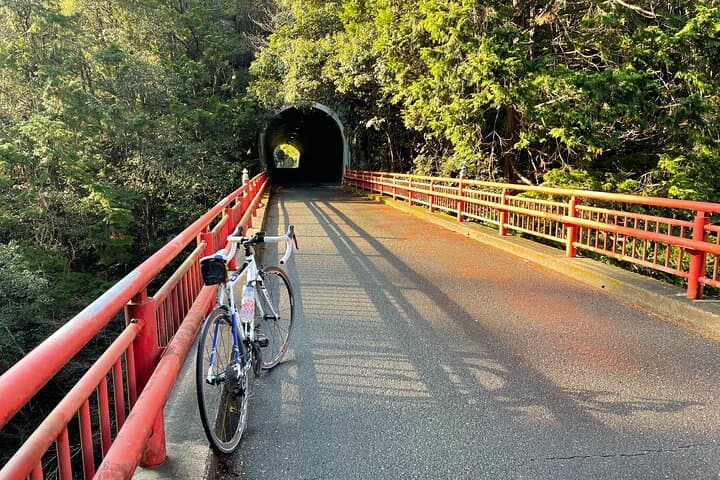 Explore Kyoto and Kansai by Road Bike — Full-Day Road Bike Rental for Self-Guided Rides photo 3