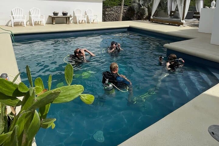 Discover Scuba Diving in Bonaire: Guided Introductory Dive Near Kralendijk photo 3
