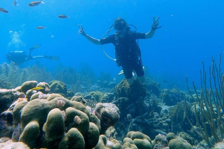 Discover Scuba Diving in Bonaire: Guided Introductory Dive Near Kralendijk photo 2