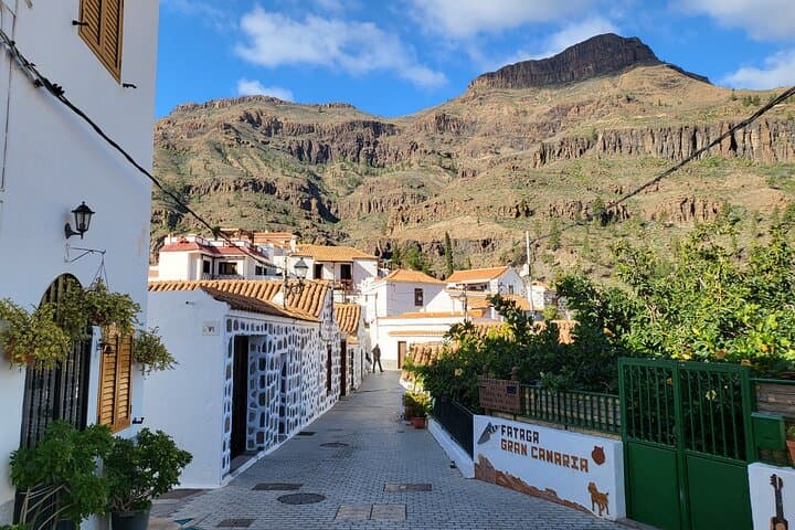 Private Mountain Excursion in Gran Canaria: Tejeda, Pico de las Nieves & Villages photo 4