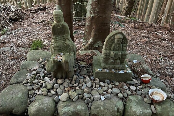 3-Day Kumano Kodo Nakahechi Pilgrimage Walk from Osaka photo 4