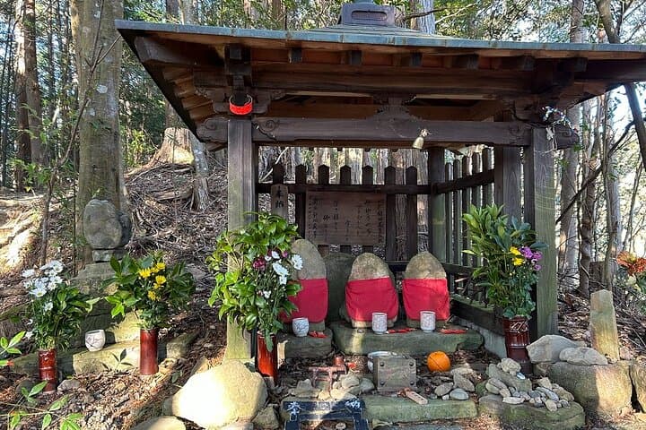 3-Day Kumano Kodo Nakahechi Pilgrimage Walk from Osaka photo 5