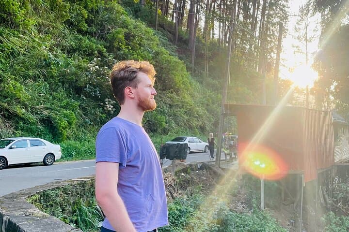 Scenic Tea Country Day: Kandy, Nuwara Eliya & Train to Ella photo 6