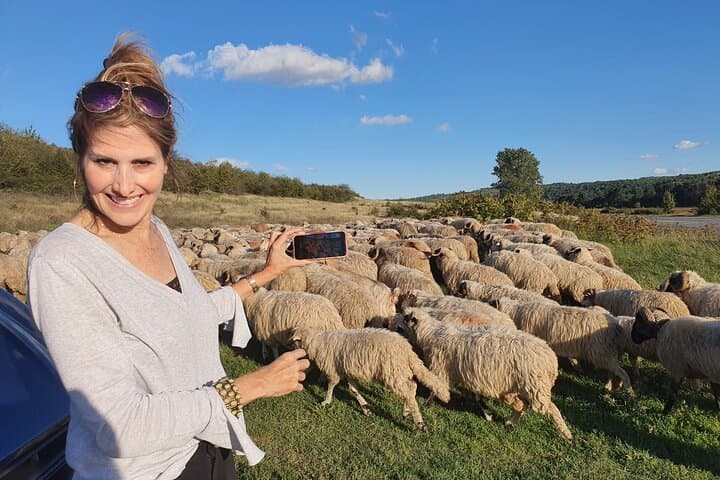 Transfagarasan Road: Private Day Trip from Bucharest to Bâlea Lake & Vidraru Dam photo 3