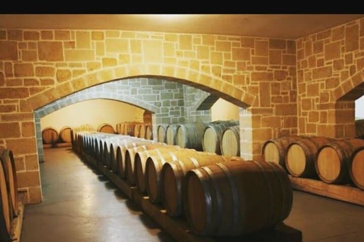 Private Olive & Wine Tour: Vouves Ancient Olive Tree and Local Winery (3 Hours) photo 4