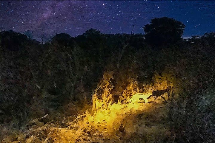 Moonlight Stargazing Near Victoria Falls: Private National Park Night Sky Experience photo 3
