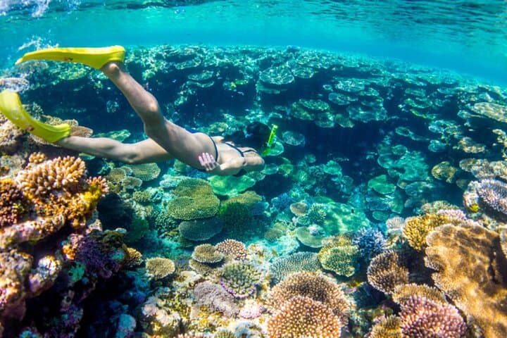 Sail and Snorkel Nassau: Catamaran Trip to Athol Island with Open Bar photo 2