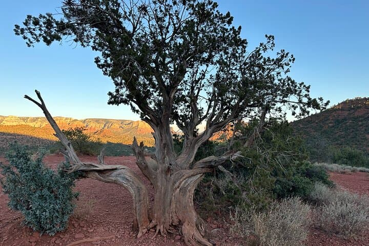 Evening Soul Dancing & Drumming at Lover's Knoll — Sedona Sunset Drum Circle photo 3