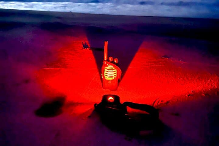Boa Vista Turtle Nesting Tour: Guided Night Walk to See Loggerheads photo 2