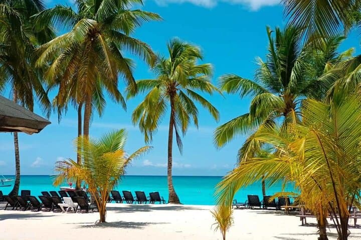 Private Speedboat to Saona Island: Natural Pools, Starfish & Snorkel