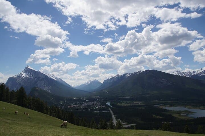 Private Banff Day Tour: Lake Louise, Moraine Lake, Peyto & Icefields Parkway Sights photo 5