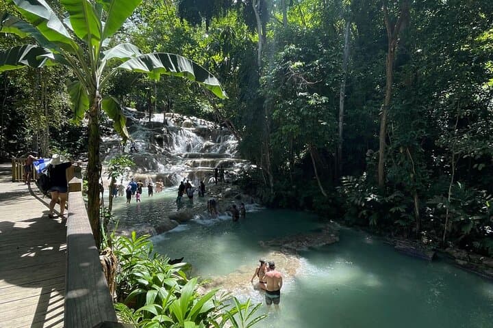 Horseback Swimming and Dunn's River Falls Day Trip from Ocho Rios photo 6