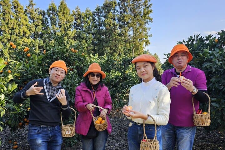 West Jeju Jumbo-Taxi Geotrail: Hyeopjae, Osulloc & Yongmeori in an 8‑Hour Private Tour photo 5