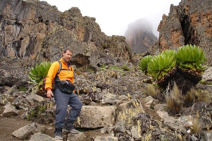 5-Day Mount Kenya Trek: Sirimon to Chogoria via Point Lenana photo 3