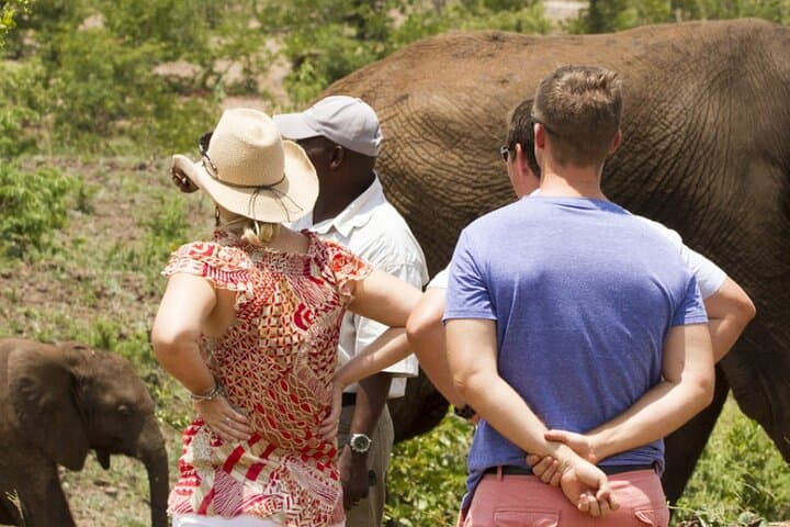 Victoria Falls 4-Day Safari, Zambezi Cruise & Helicopter Experience photo 2