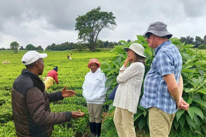 Riara Tea Farm Tour from Nairobi: Lunch, Tea Tasting & Limuru Highlands Walk photo 3