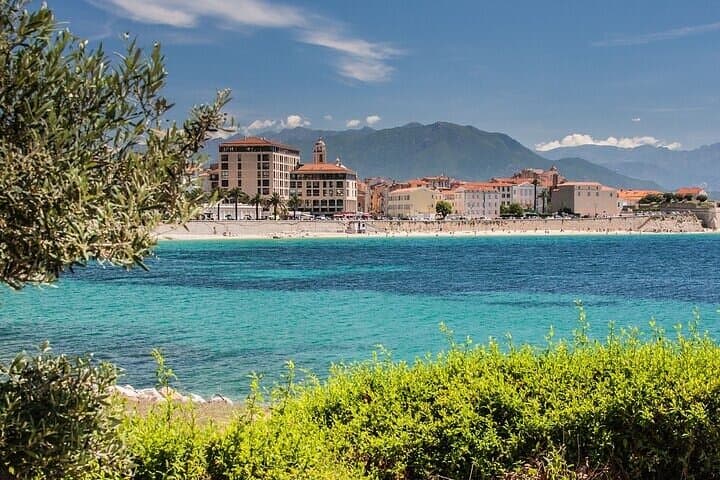 Ajaccio Private Walking Tour: Explore Napoleon’s Birthplace & Coastal Squares