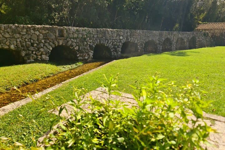 Coastal Flavors: Dubrovnik to Konavle Private Gastro Tour photo 6