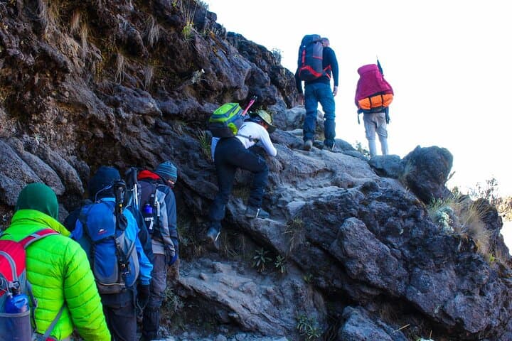 Kilimanjaro Day Trek to Shira Plateau & Maundi Crater: Rainforest Trails and Panoramic Views photo 5