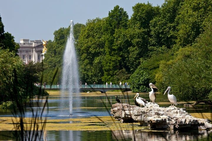 Inside Buckingham Palace State Rooms & Royal London Walking Tour — Skip-the-Line Guide photo 4
