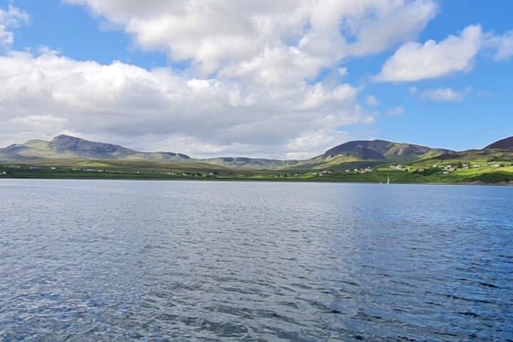 Private Day Sail from Oban Marina: Hebrides Wildlife, Lunch & Hands-On Sailing photo 5