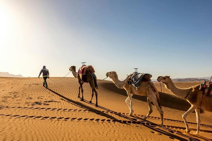 Two-Day Desert Camp Experience from Agadir — Legzira Beach, El Borj Dunes & Tighmert Oasis