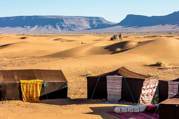 Two-Day Desert Camp Experience from Agadir — Legzira Beach, El Borj Dunes & Tighmert Oasis photo 4