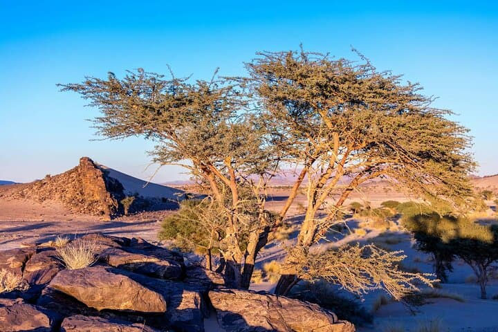 Two-Day Desert Camp Experience from Agadir — Legzira Beach, El Borj Dunes & Tighmert Oasis photo 5