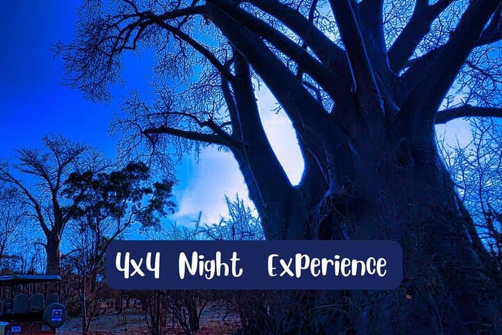 Bush by Night: 4x4 Stargazing Drive at Victoria Falls photo 4