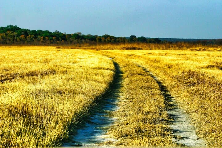 Small-Group Safari in Zambezi National Park — Victoria Falls Bush Game Drive photo 2