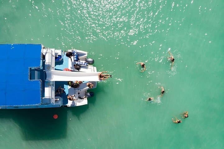 Private Punta Cana Catamaran Excursion — Snorkel Cabeza de Toro & Natural Pools photo 6