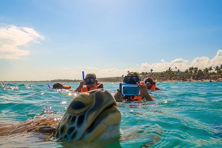 Tulum ruins and Akumal snorkeling: swim with turtles and explore a cenote