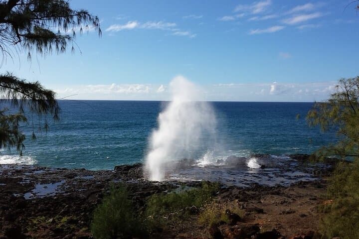 Waimea Canyon Small-Group Adventure Tour with Napali Coast Views & Lunch photo 2