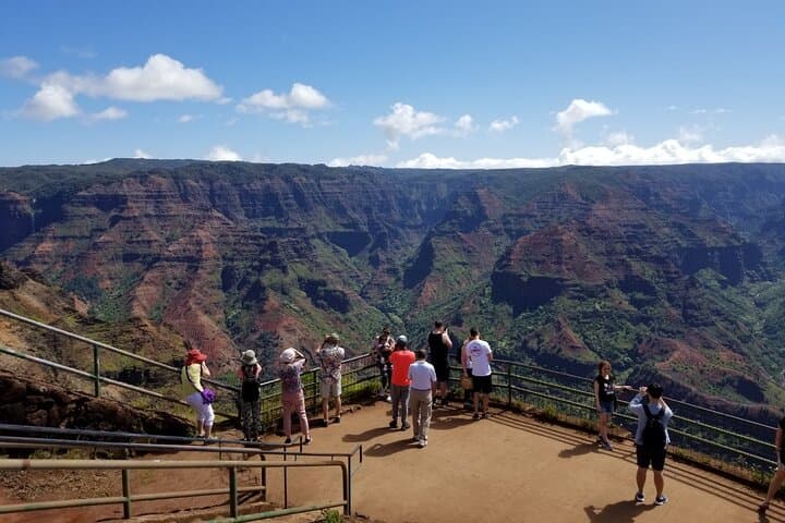 Waimea Canyon Adventure Tour from Nawiliwili — Kauai Shore Excursion Guide photo 2