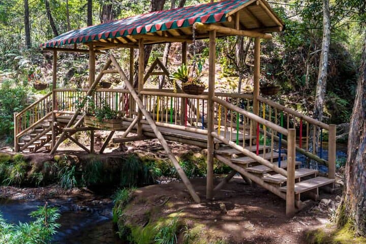 Cable Car to Arví Park: Medellín Comuna Tour, Waterfalls & Birdwatching photo 2