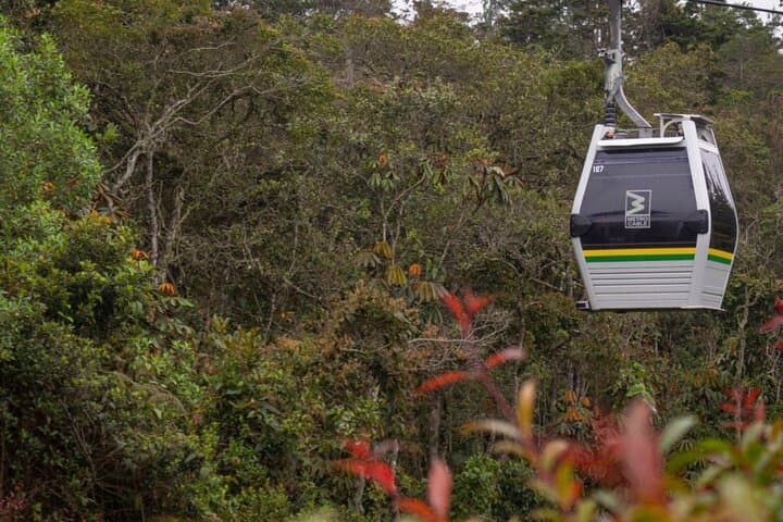 Cable Car to Arví Park: Medellín Comuna Tour, Waterfalls & Birdwatching photo 4