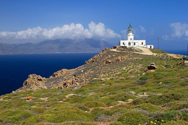 Half-Day Private Mykonos Island Tour with a Local Guide photo 5