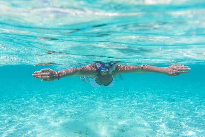 El Cielo Starfish Snorkel: Full-Day Cozumel Reef Adventure photo 5