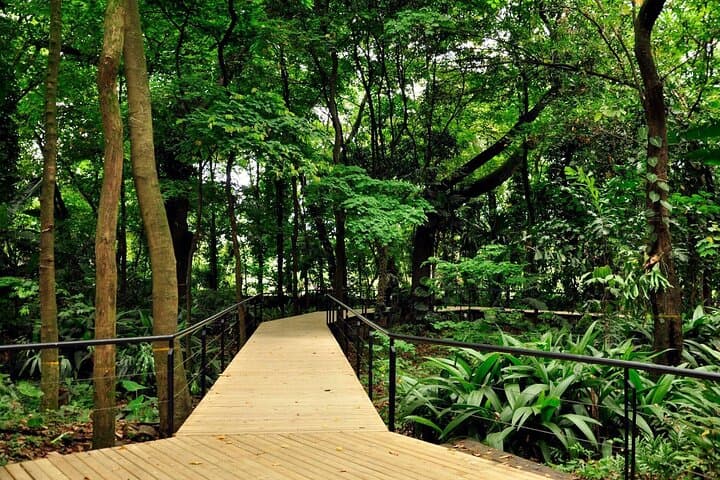 Medellín Botanical Garden & Arví Park Day Tour — Metrocable, Trails, City Views photo 3