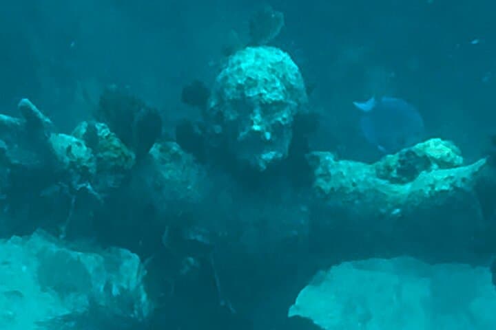 Private Snorkel and Sandbar Boat Charter in Key Largo — VIP Day Trip photo 4