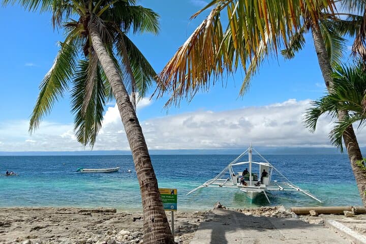 Kawasan Falls Canyoning & Moalboal Sardine Run — Canyoning, Snorkeling & Sea Turtles photo 5