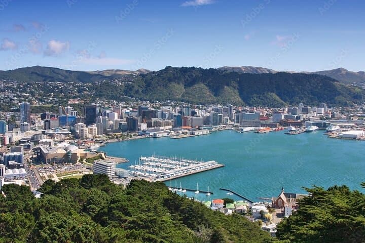 Wellington Walking Introduction: Botanic Gardens, Cable Car & Cuba Street photo 2