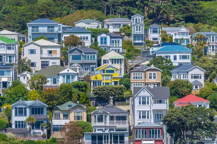 Wellington Walking Introduction: Botanic Gardens, Cable Car & Cuba Street photo 5
