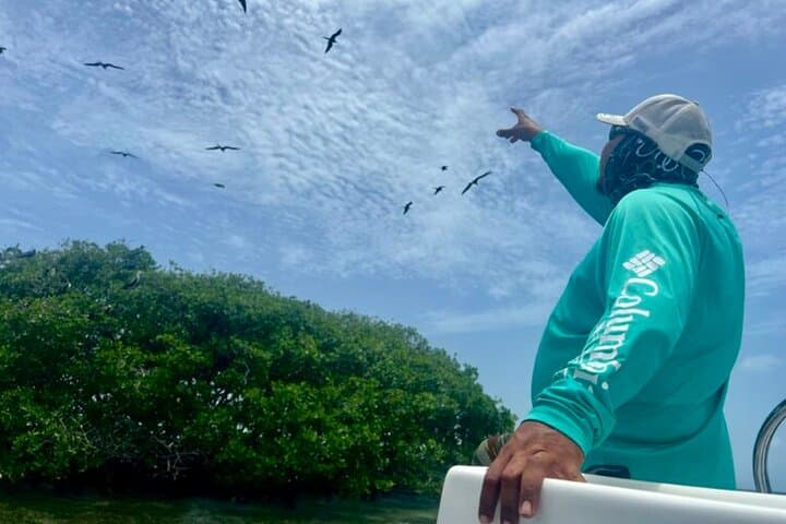 Half-Day Reef Snorkel from Dangriga: Manatees, Crocs & Barrier Reef Snorkeling
