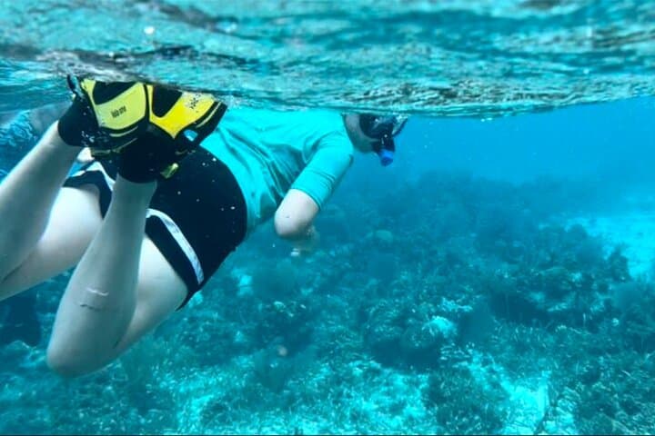 Half-Day Reef Snorkel from Dangriga: Manatees, Crocs & Barrier Reef Snorkeling photo 2